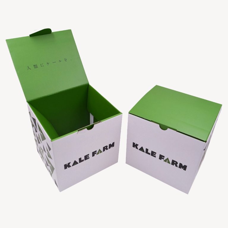 Shipping Box (2)