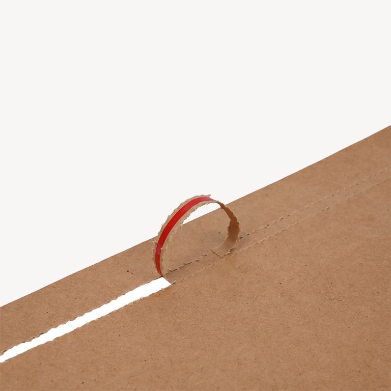 Paper-Shipping-Mailer-Bags-(8)